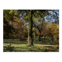 Otoño en el parque de estado del lago Benson Postal
