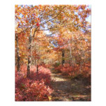 Otoño en foto del ~ de Nueva Inglaterra 27