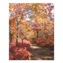 Otoño en foto del ~ de Nueva Inglaterra 27