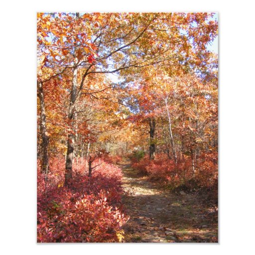 Otoño en foto del ~ de Nueva Inglaterra 27