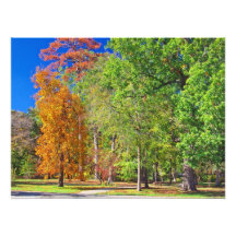 Otoño en la foto del parque