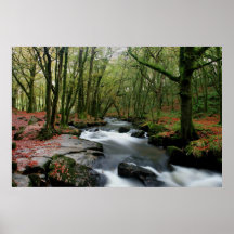 Otoño en las caídas de Golitha Posters