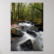 Otoño en las caídas de Golitha Poster