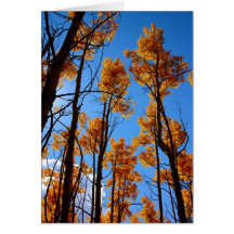Otoño en New México Tarjeta