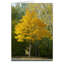 Otoño Felicitación