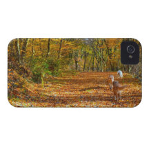 Otoño iPhone 4 Case-Mate Cárcasa