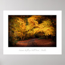 Otoño, parque de la colina de Killiney, Dublín Poster