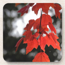 Otoño Posavasos De Bebida