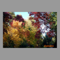 Otoño posters