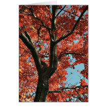 OTOÑO   (tarjeta en blanco) tarjetas