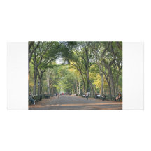 Otoño temprano la alameda plantilla para tarjeta de foto