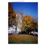 Otoño vivo. felicitacion 