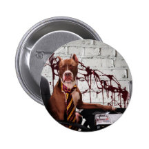 ¡Otro día en infierno! Pins