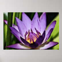 Otros posters reales de la flor