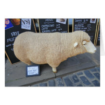 Ovejas de la calle tarjeton