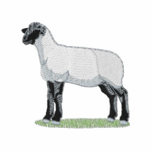 Ovejas de Suffolk Polo
