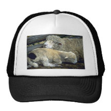 Ovejas Gorro De Camionero