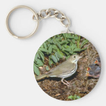 Ovenbird con los jóvenes llaveros personalizados
