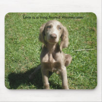 P3091298, amor es un Weimaraner de pelo largo Mousepad