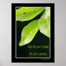 Paciencia Poster