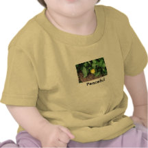 Pacífico Camisetas
