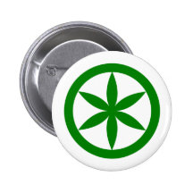 Padania, bandera política de Colombia Pins