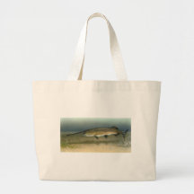 Paddlefish Bolsa