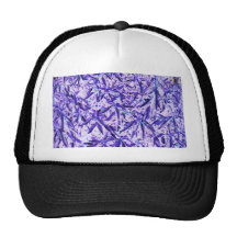 padme - por AnBe Gorras De Camionero