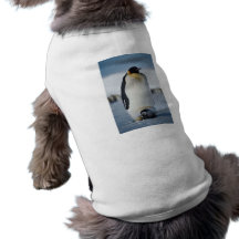 Padre y polluelo del pingüino camisas de mascota