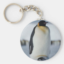 Padre y polluelo del pingüino llaveros personalizados
