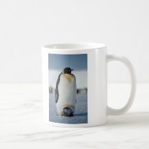 Padre y polluelo del pingüino tazas