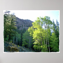 paintedhill2 posters