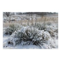 País 3 de la nieve foto