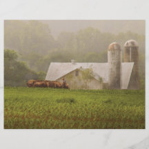 País - cultivo de Amish Flyer Personalizado