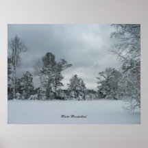 País de las maravillas 1 del invierno poster