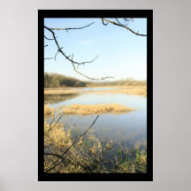 País de las maravillas del humedal poster