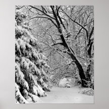País de las maravillas del invierno impresiones
