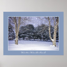 País de las maravillas del invierno poster