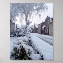 País de las maravillas del invierno posters