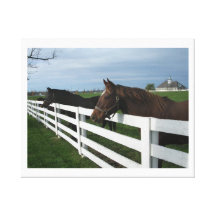 País del caballo de Kentucky Impresión En Lona Estirada