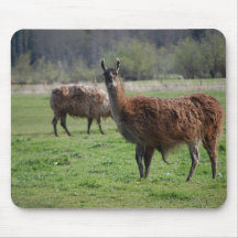 País Mousepad de la llama Tapete De Ratón