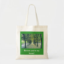 Paisaje de Boston Bolsas De Mano
