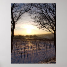 Paisaje de invierno posters