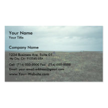 Paisaje de Izembek Tarjeta De Negocio