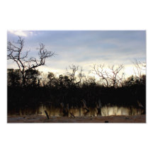 Paisaje de la República Dominicana de Montecristi Fotos
