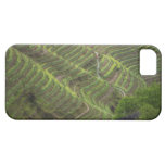 Paisaje de las terrazas del arroz en la montaña, iPhone 5 Case-Mate protector