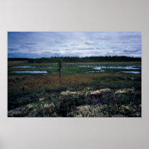Paisaje del humedal poster