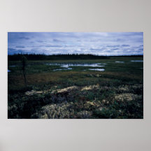Paisaje del humedal poster
