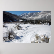 Paisaje del invierno impresiones