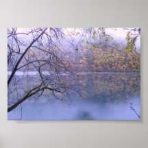 PAISAJE DEL LAGO IMPRESIONES